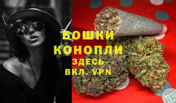 прущие грибы Киров