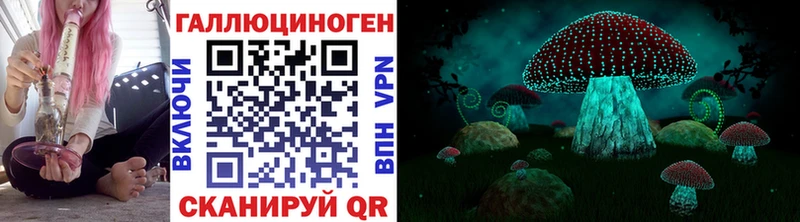 Галлюциногенные грибы Psilocybine cubensis  блэк спрут зеркало  Электроугли 